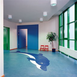 探索韓國LG品牌塑膠地板 武漢專業(yè)運動地板與高清大圖解析